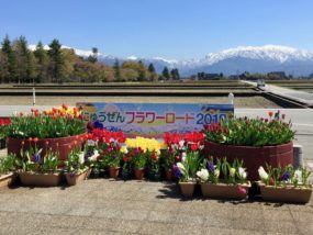 にゅうぜんフラワーロード2019image