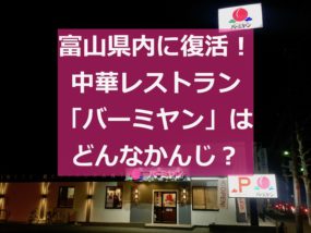 バーミヤンイメージ