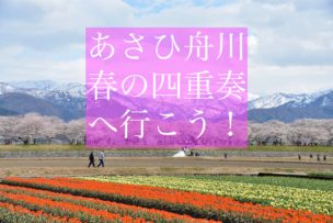 あさひ舟川春の四重奏イメージ