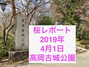 高岡古城公園桜
