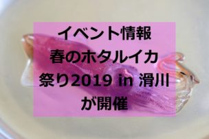 ホタルイカ祭りイメージ