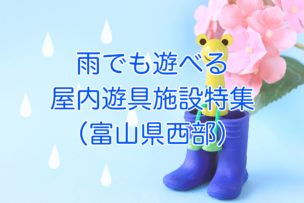 雨でも遊べるタイトル