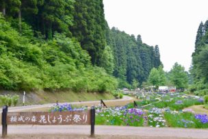 頼成の森花しょうぶ祭り