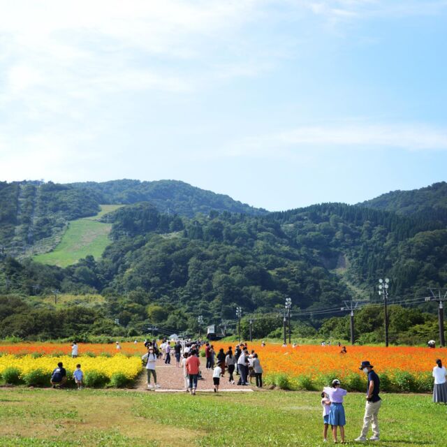 最新版 富山のイベントカレンダー Toy Life